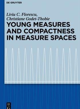 [预订]Young Measures and Compactness in Measure Spaces 9783110276404