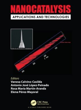 【预订】Nanocatalysis 9780367780258