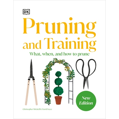 预订 Pruning and Training: What, When, and How to Prune 9780593964231