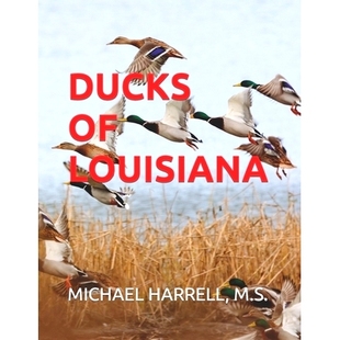 Louisiana 路易斯安那州 Ducks 鴨子 9798377308348 預(yù)訂