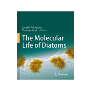 [预订]The Molecular Life of Diatoms 9783030925017