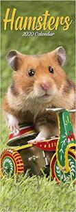 【预售】Hamsters Slim Calendar 2020