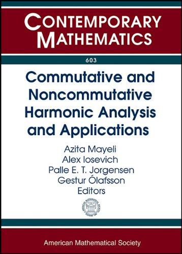 【预售】Commutative and Noncommutative Harmonic Analysis and Applications