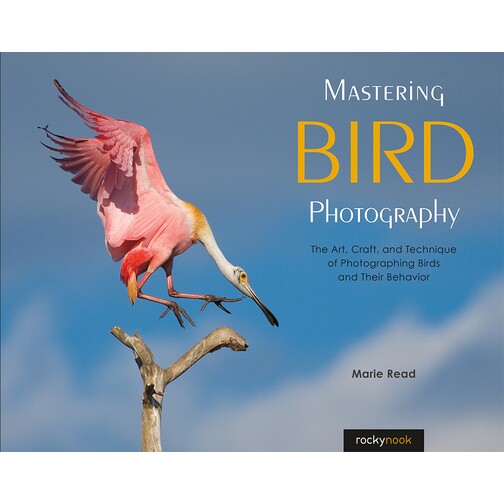 预订 Mastering Bird Photography: The Art, Craft, and Technique of Photographing Birds and Their Behavior 掌握鸟类摄影：