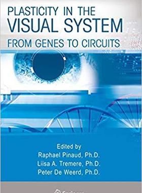 【预订】Plasticity in the Visual System