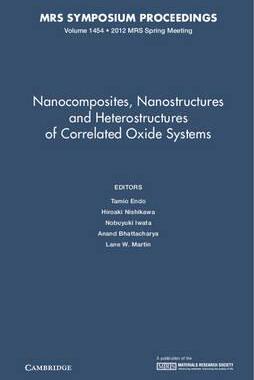 预订 Nanocomposites, Nanostructures and Heterostructures of Correlated Oxide Systems