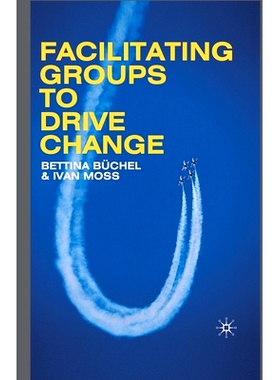 预订 Facilitating Groups to Drive Change: 9781349361762