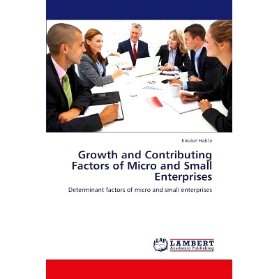 预订 Growth and Contributing Factors of Micro and Small Enterprises: Determinant factors of micro and small enterprises: