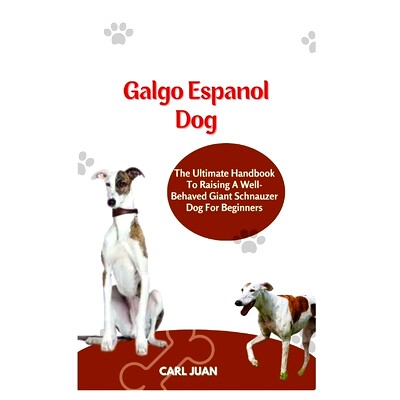 预订 Galgo Espaol Dog: The Ultimate Handbook To Raising A Well-Behaved Galgo Espaol dog For Beginners: 9798873094875
