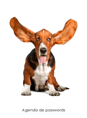 预订 Agenda de Passwords: Agenda Para Enderecos Electronicos E Passwords - Capa Basset: 9781542901666