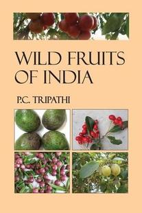 预订 India Wild 9789358870558 Fruits