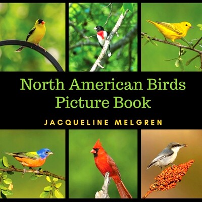 预订 North American Birds Picture Book: Dementia Activities for Seniors (30 Premium Pictures on 70lb Paper With Names)