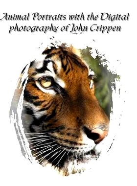 预订 Animal Portraits With The Digital Photography Of John Crippen: Learning Photography With Animals: 9781438249599