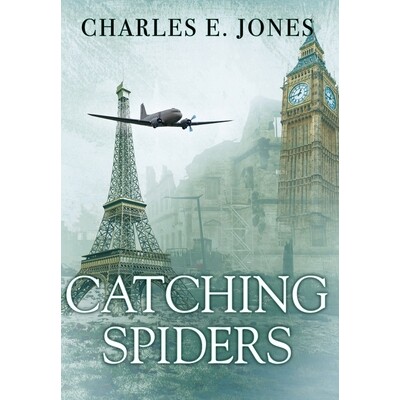 预订 Catching Spiders 9781977256249