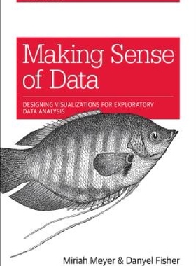 【预订】Making Sense of Data: Designing Effe...