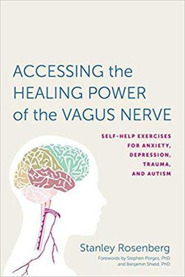 【预售】Accessing the Healing Power of the V...