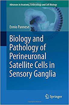 【预售】Biology and Pathology of Perineurona...