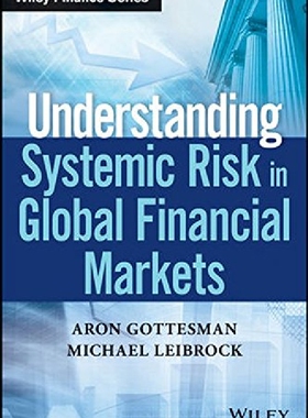 【预订】Understanding Systemic Risk in Globa...