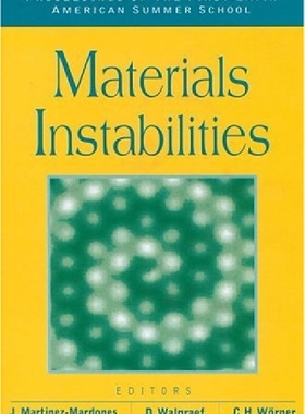 【预订】Materials Instabilities - Proceeding...