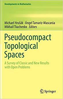 【预售】Pseudocompact Topological Spaces
