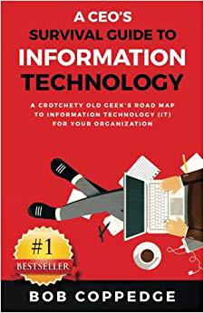 【预售】A CEO’s Survival Guide to Informatio...