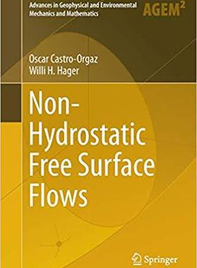 【预售】Non-Hydrostatic Free Surface Flows (...