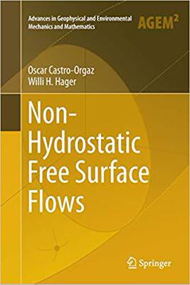 【预售】Non-Hydrostatic Free Surface Flows (...