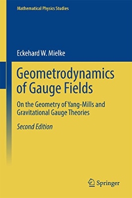 【预订】Geometrodynamics of Gauge Fields