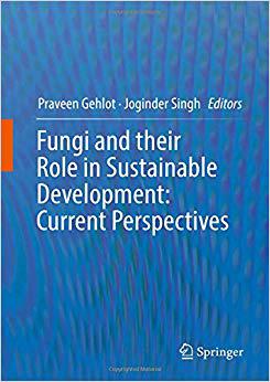 【预售】Fungi and their Role in Sustainable ...