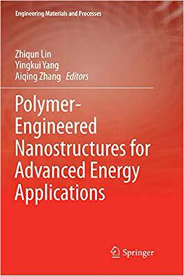 【预售】Polymer-Engineered Nanostructures fo...