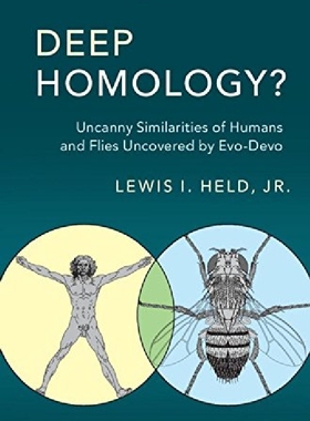 【预订】Deep Homology?