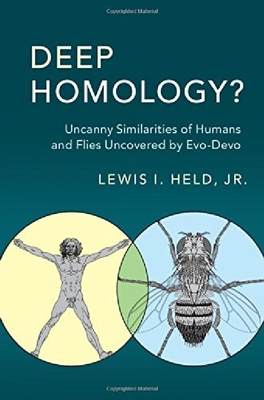 【预订】Deep Homology?