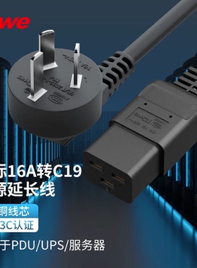 TOWE同为服务器PDU电源线大功率国标10A16A插头转C19电源线品字形