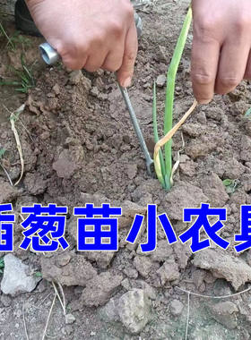 栽葱神器栽葱专用农具