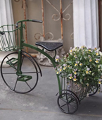 莫里斯花园 自行车花架 出口订单