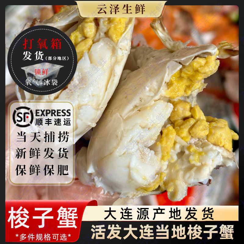 保鲜不保活大连梭子蟹3斤装特大野生飞蟹海鲜水产公海蟹满肉满膏