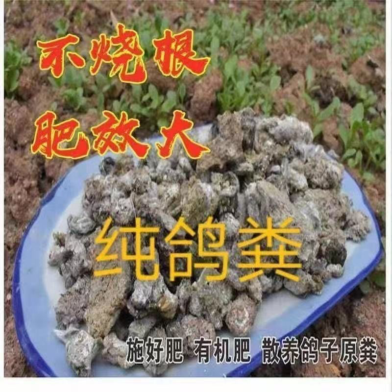 农家纯鸽子粪 五十斤装 原生态发酵有机肥 园艺蔬菜花卉通用肥料