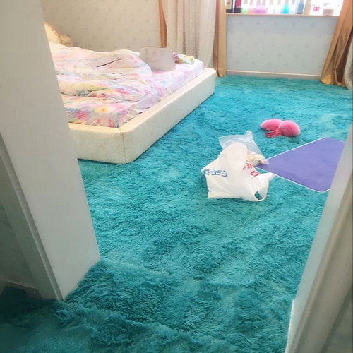 简约现代加厚丝毛地毯卧室客厅满铺茶几床边毯定制可机洗防滑地垫 - 封面