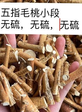 精选河源小节五指毛桃根新鲜无硫农家五爪龙茶广东煲汤材料干货