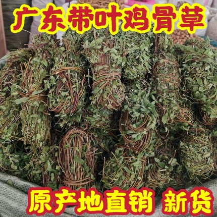 广东野生鸡骨草500克带叶干货中草药中药材泡茶煲汤料新鲜无硫