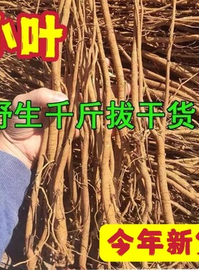 广东河源小叶千斤拔中药材一条根钉地根千金拨钻地风中草药