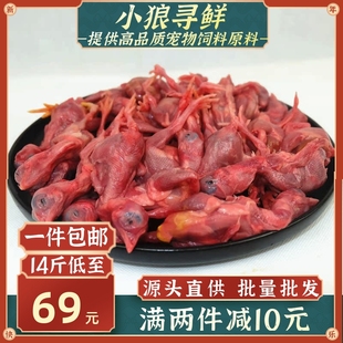 清远小麻鸡 脱毛冰冻小鸡仔冰冻鸡崽猫狗营养生骨肉冷冻 小鸡仔