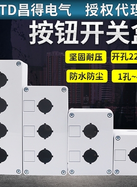 CNTD昌得2孔1按钮开关控制盒3位白色4塑料孔22mm Y090 LA38 39XB2