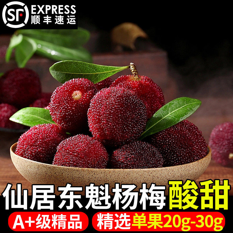 正宗仙居冰杨梅特大果东魁新鲜杨梅产地直发应季水果杨梅顺丰