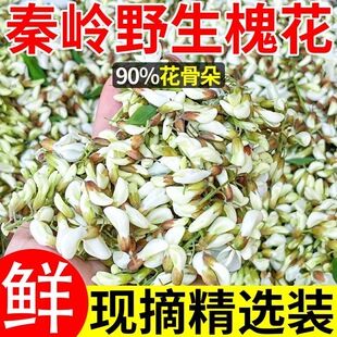 2026洋槐花新鲜现摘高山正宗野生槐花骨朵蒸菜当季纯天然野菜整箱