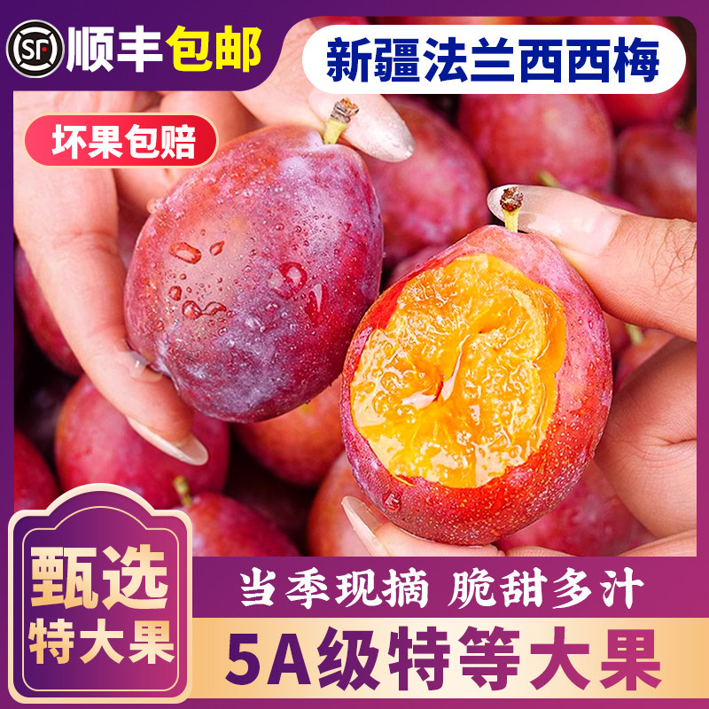 正宗新疆法兰西西梅喀什特级大西梅孕妇水果新鲜当季整箱礼盒李子
