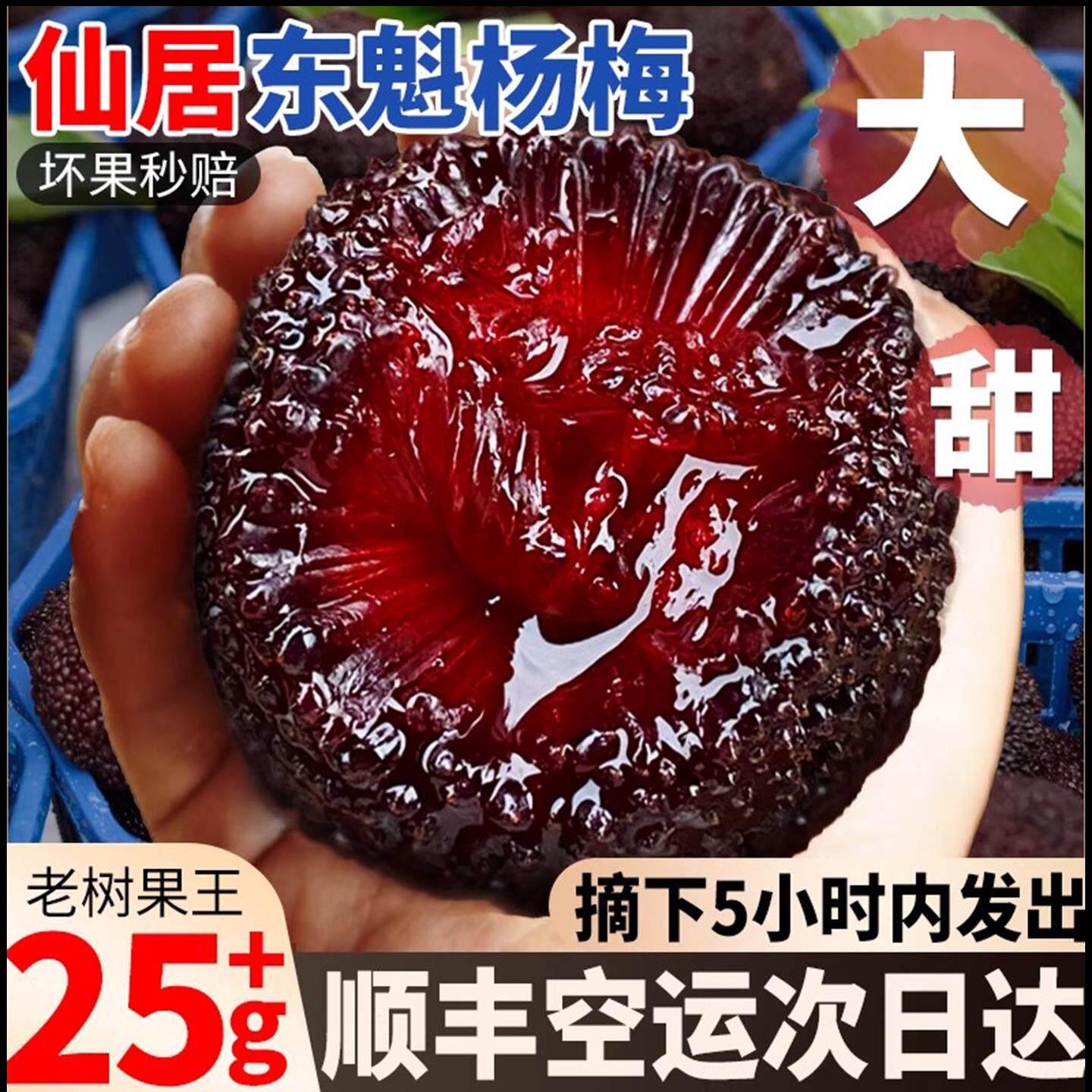 顺丰空运 正宗仙居东魁杨梅鲜果5斤新鲜水果当季现摘冷冻果整箱