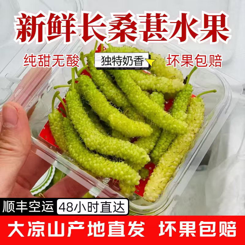 顺丰四川凉山现摘新鲜长条桑葚鲜果牛奶桑椹花香桑葚即食泡酒酵素