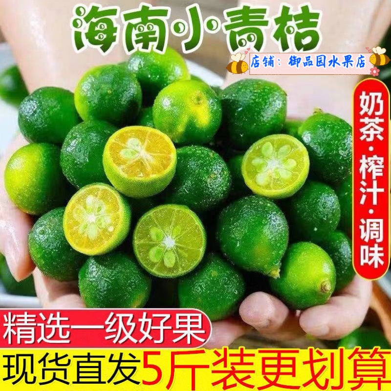 海南小金桔新鲜小青桔现货1斤5斤奶茶专用水果小柠檬酸桔仔青金桔