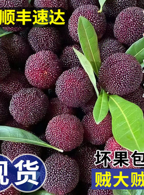 顺丰现货速发5斤浮宫杨梅鲜果冷冻当季水果泡酒5斤整箱包